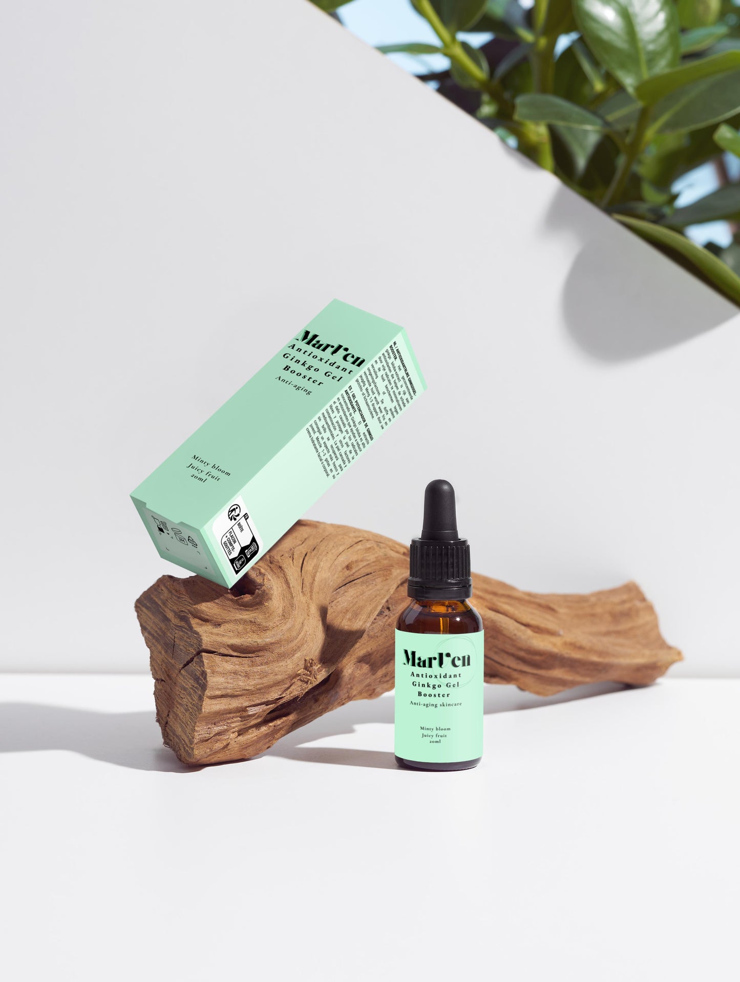Antioxidant Ginkgo Gel Booster